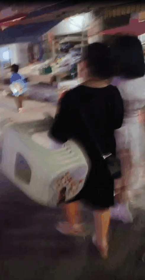 贵州台盘村村BA引爆乡村篮球文化